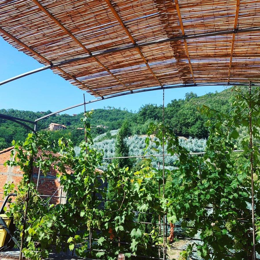Bed and Breakfast La Casa Di Giobatta Tovo San Giacomo Exterior foto